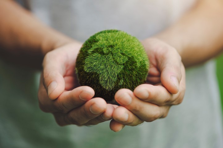 Close up of hands holding the earth on a green background. protect nature. Save Earth. concept of the environment World Earth Day